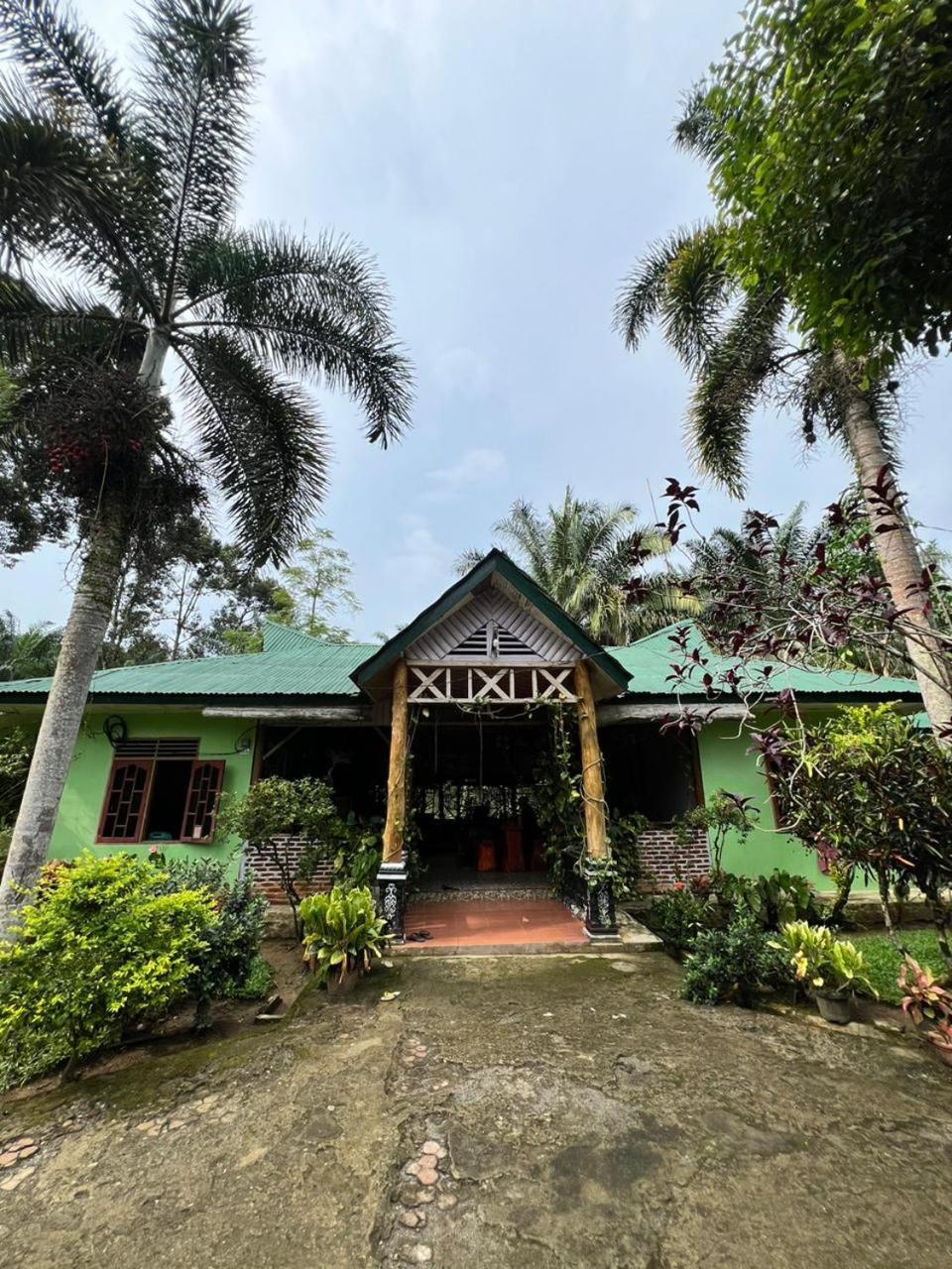 Wisma Batu Mandi Bukit Lawang Exterior photo