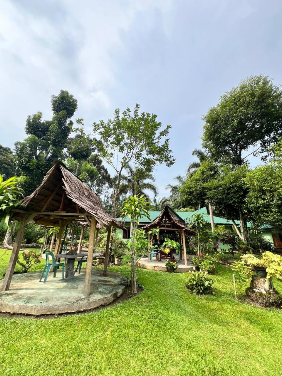 Wisma Batu Mandi Bukit Lawang Exterior photo