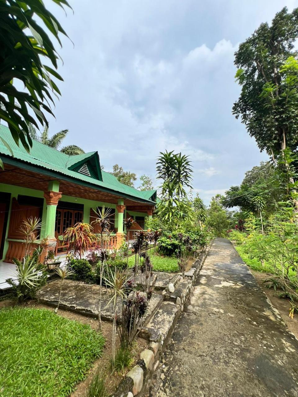 Wisma Batu Mandi Bukit Lawang Exterior photo
